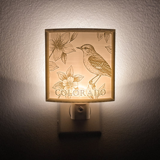 Colorado - Nightlight On