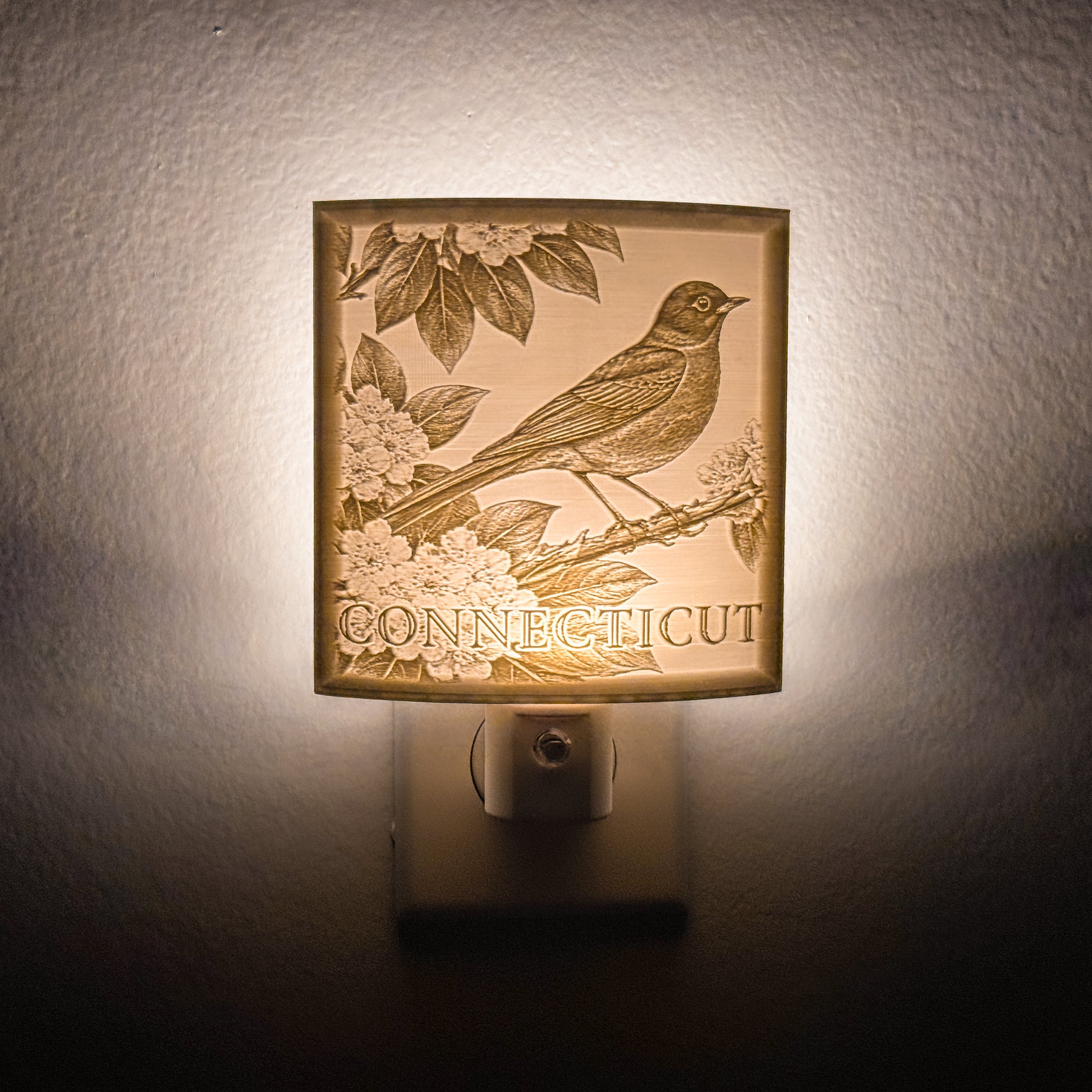 Connecticut - Nightlight On