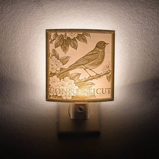 Connecticut - Nightlight On