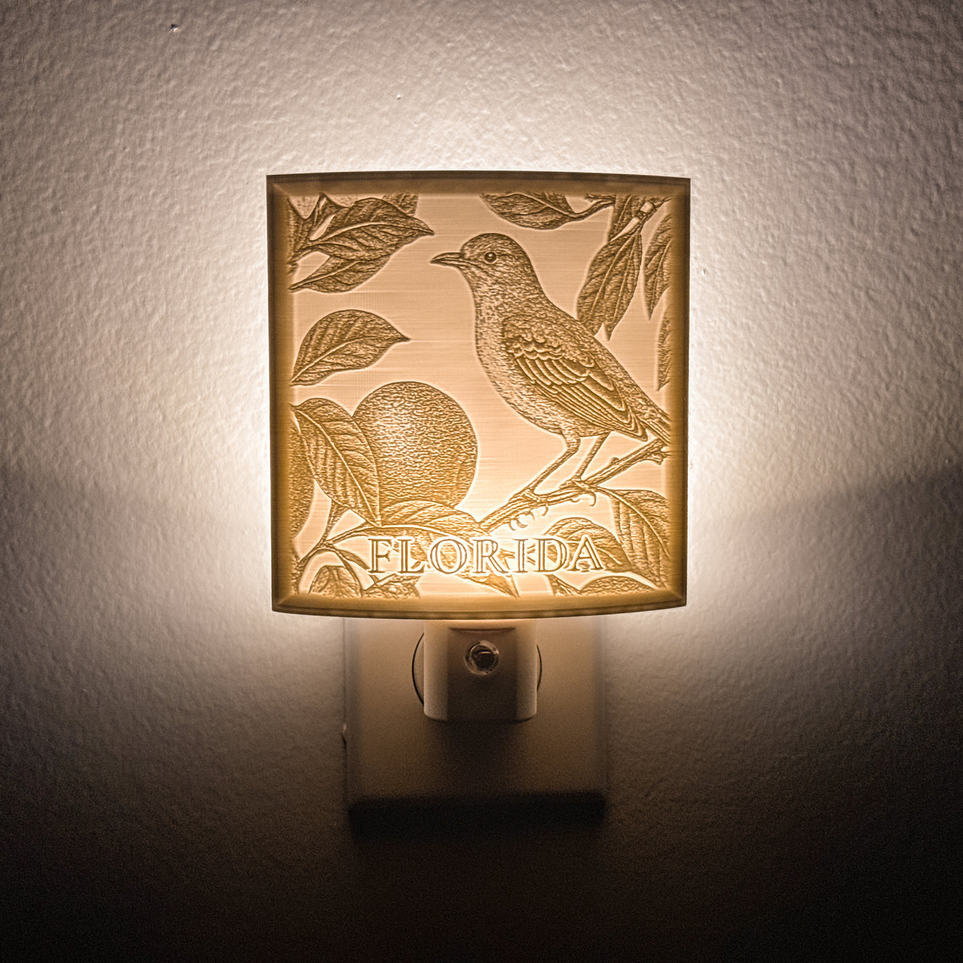Florida State Bird & Flower Nightlight