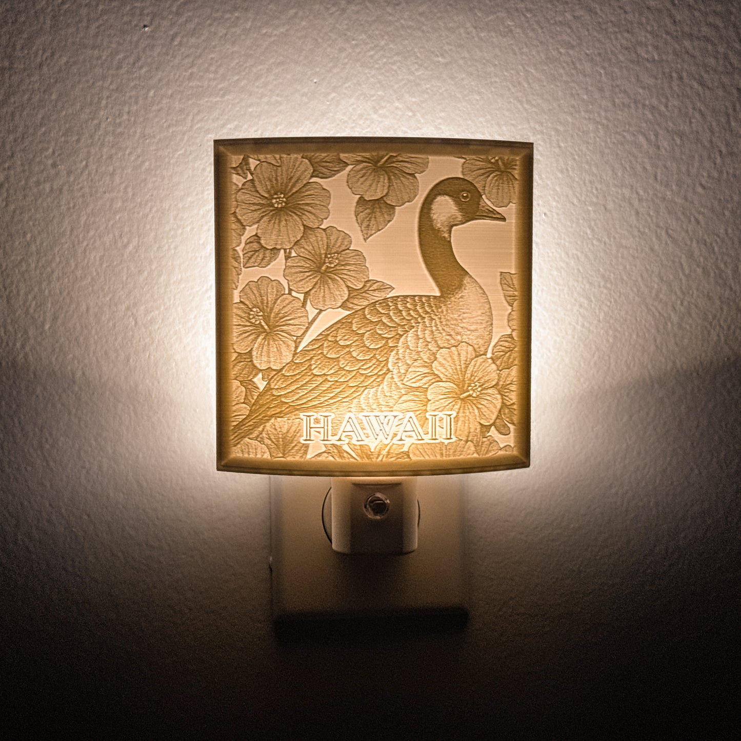 Hawaii - Nightlight On