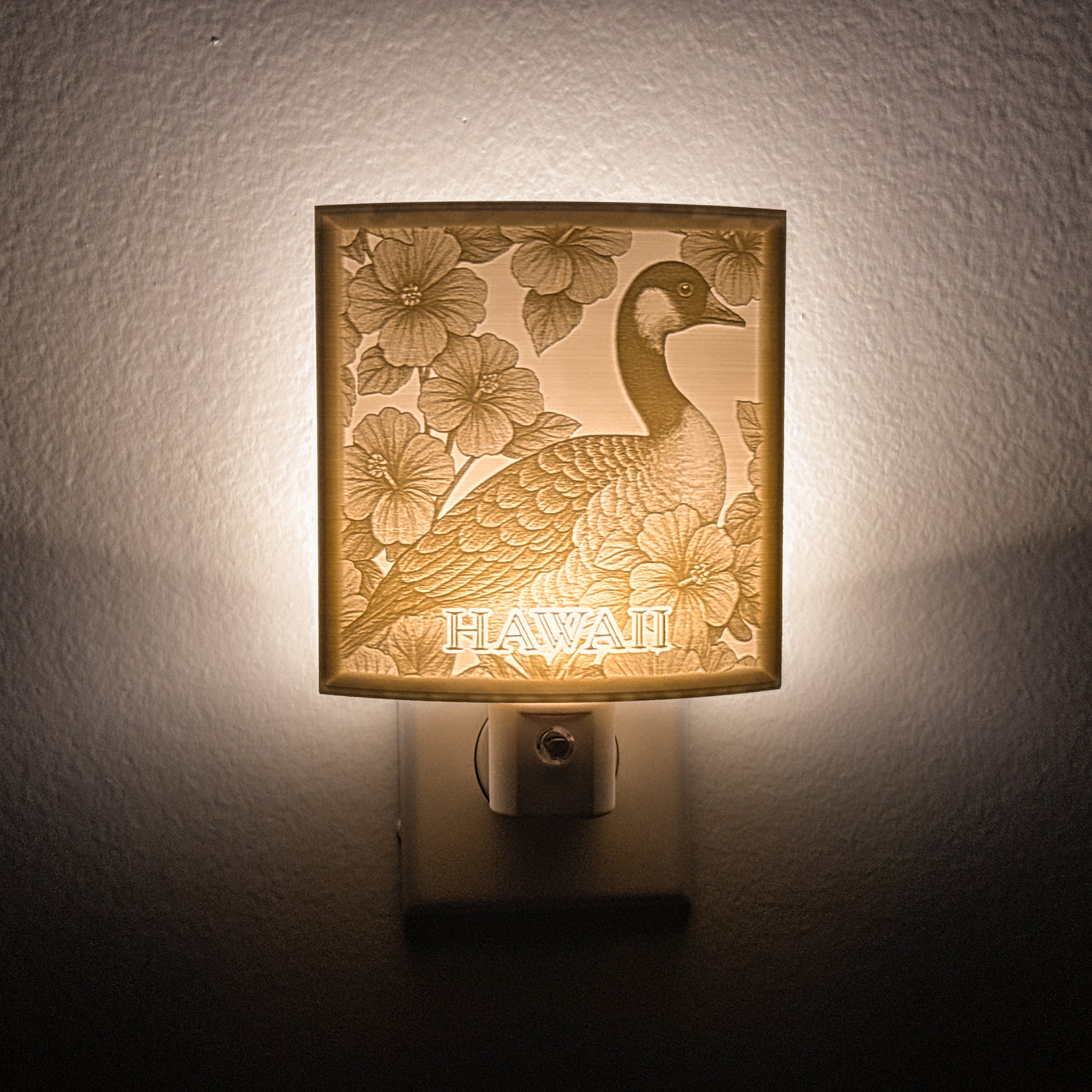 Hawaii - Nightlight On
