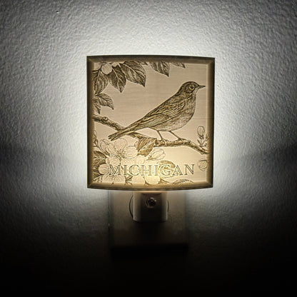 Michigan State Bird & Flower Nightlight