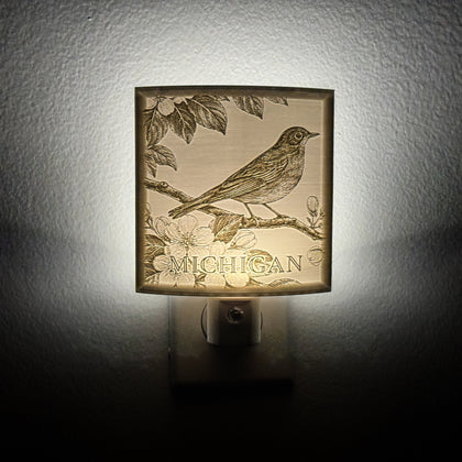 Michigan State Bird & Flower Nightlight