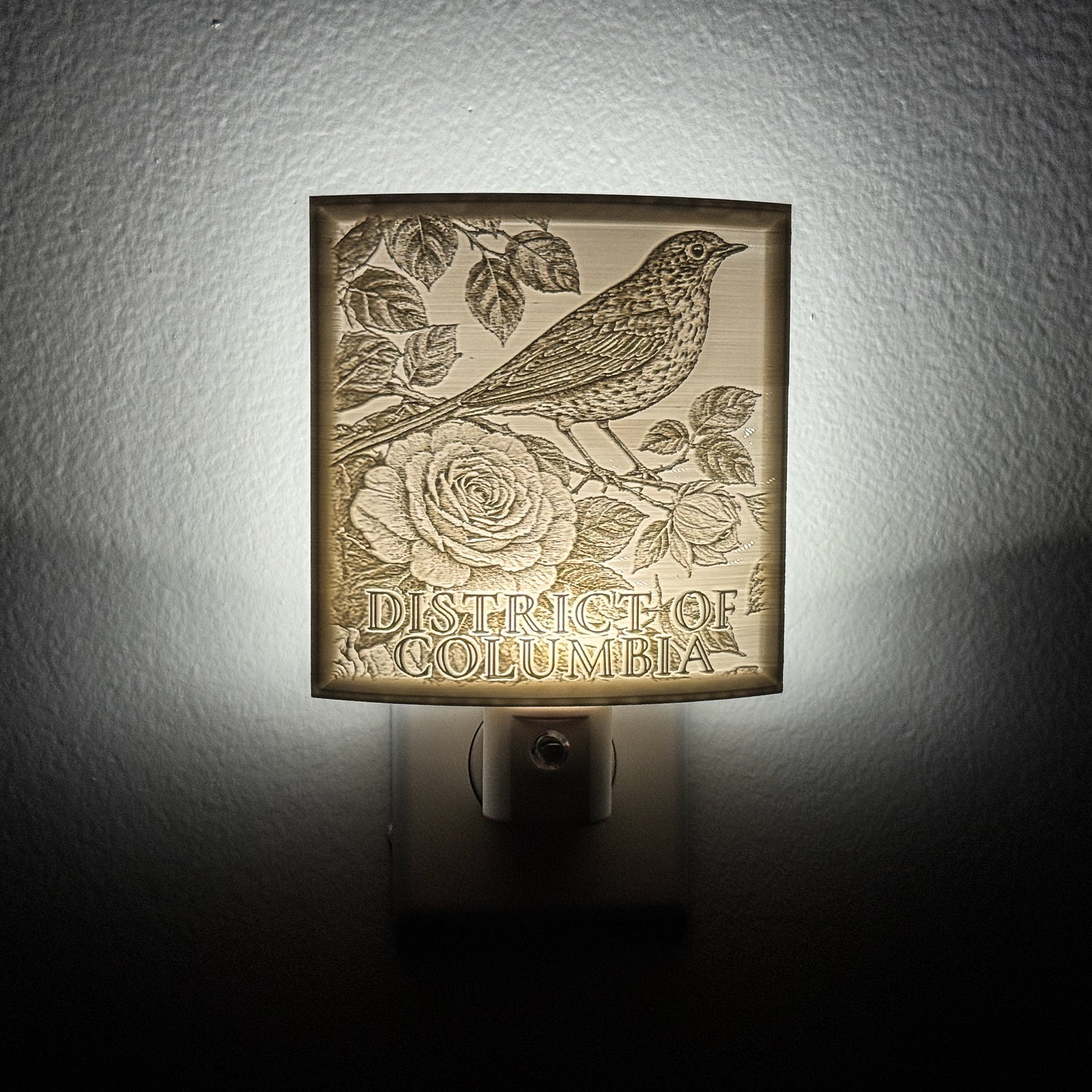 Washington, DC Bird & Flower Nightlight