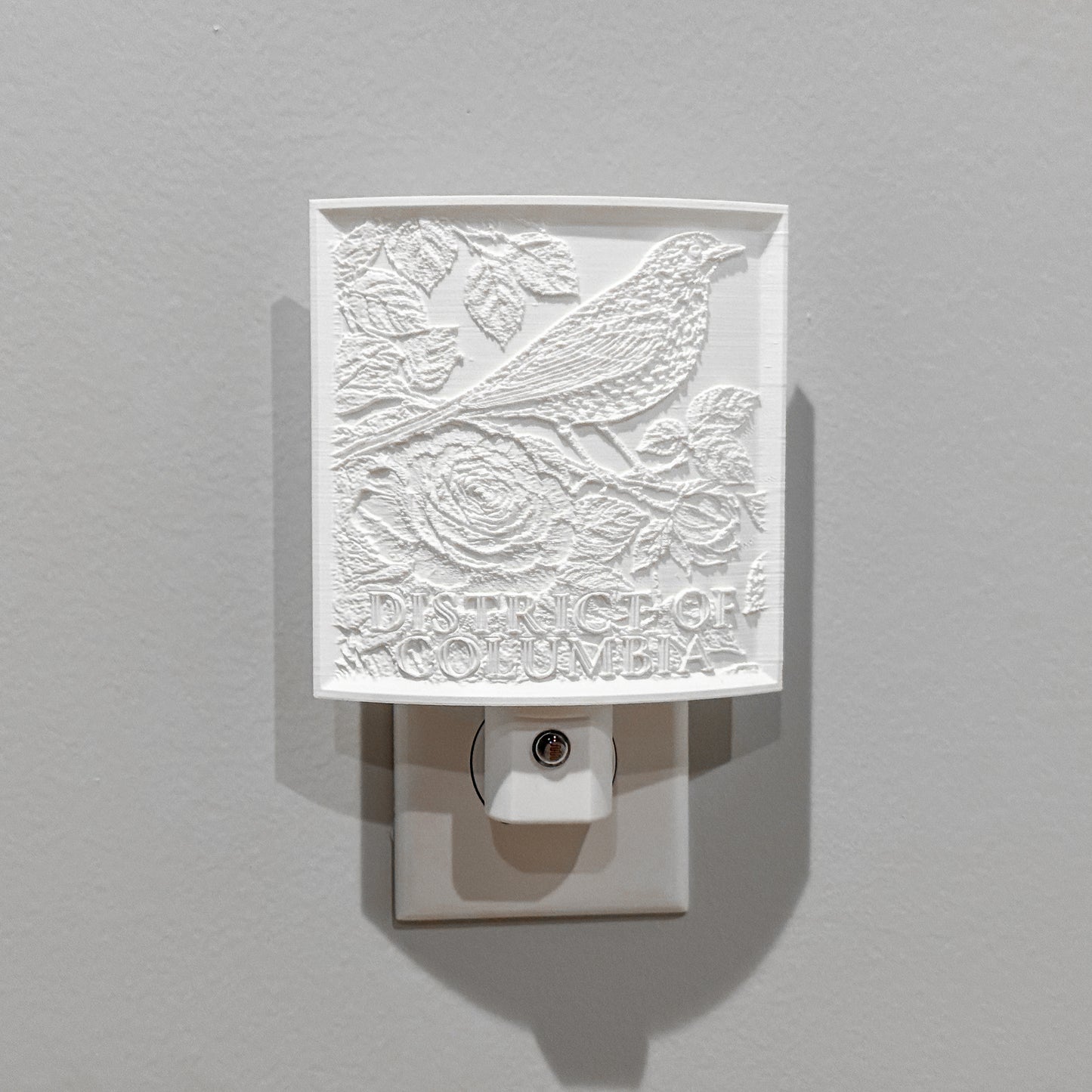 Washington, DC Bird & Flower Nightlight