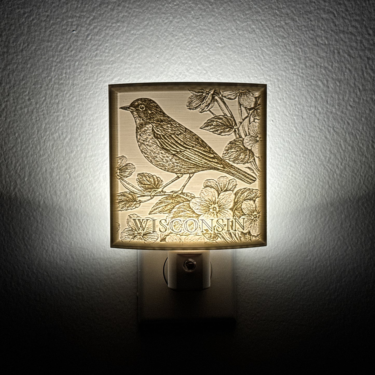 Wisconsin State Bird & Flower Nightlight