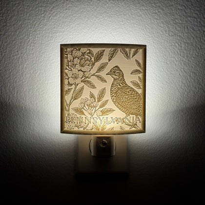 Pennsylvania State Bird & Flower Nightlight