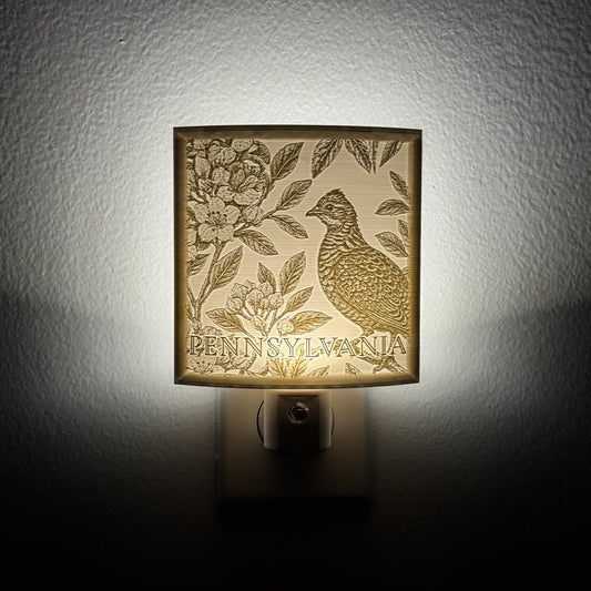 Pennsylvania State Bird & Flower Nightlight