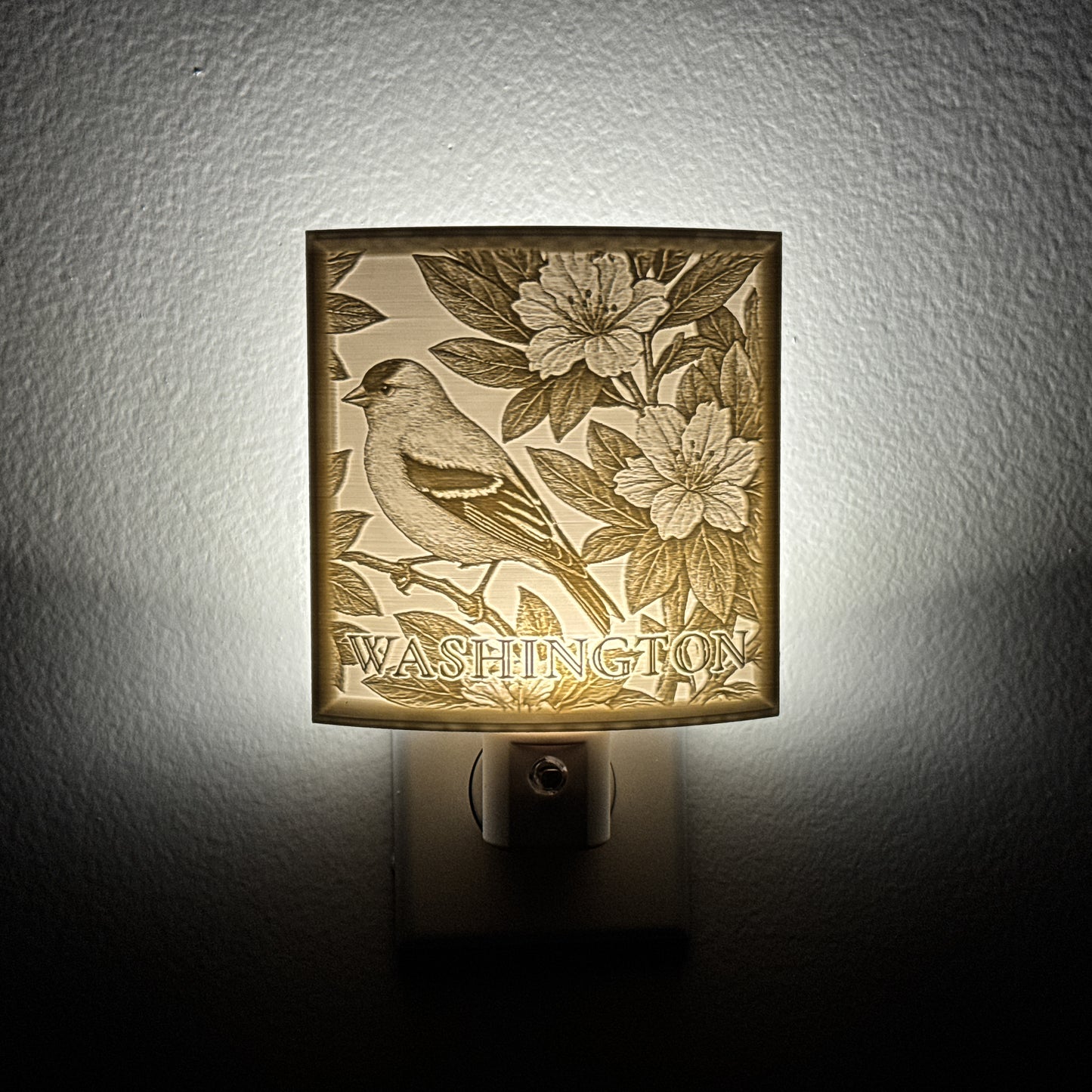 Washington State Bird & Flower Nightlight