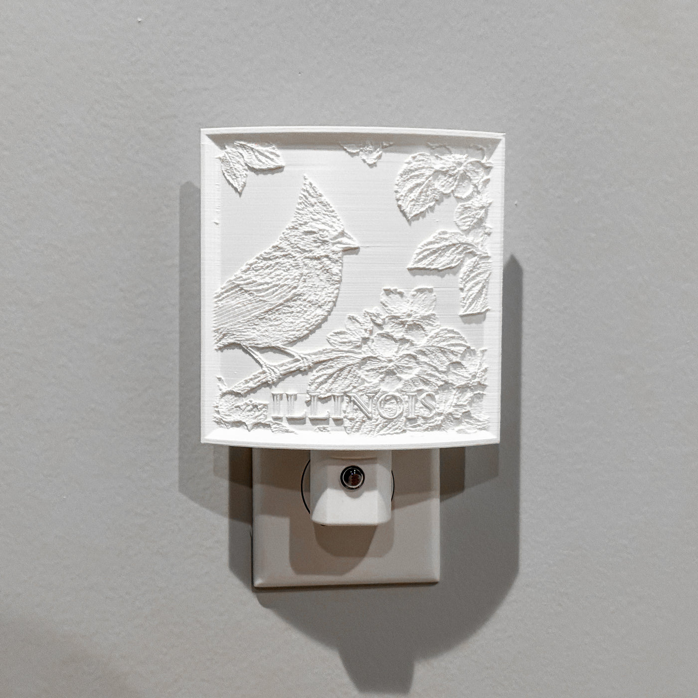 Illinois State Bird & Flower Nightlight