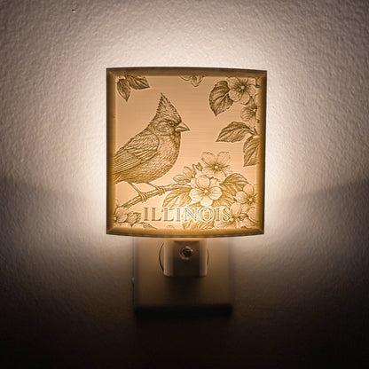 Illinois - Nightlight On