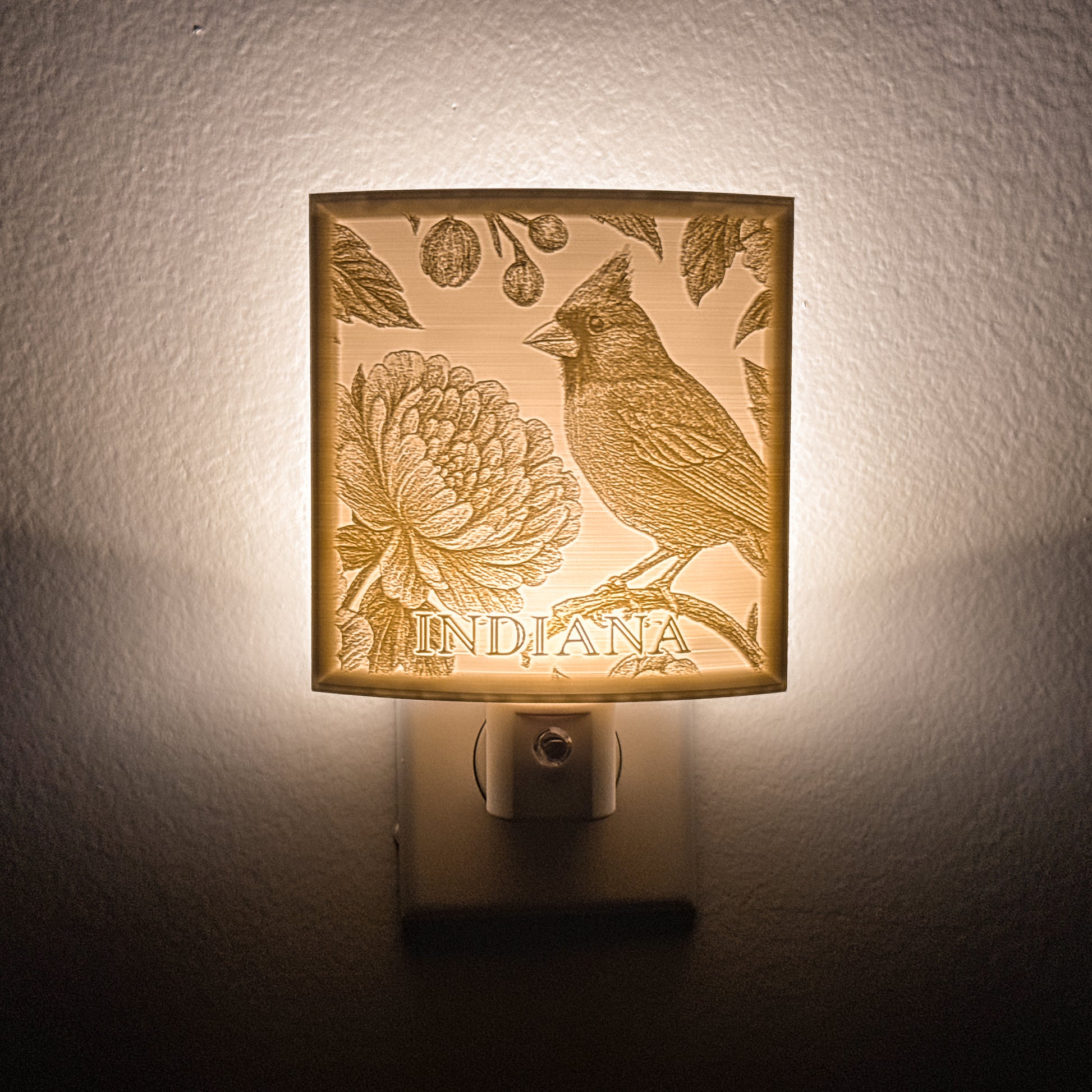 Indiana - Nightlight On