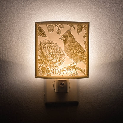 Indiana - Nightlight On