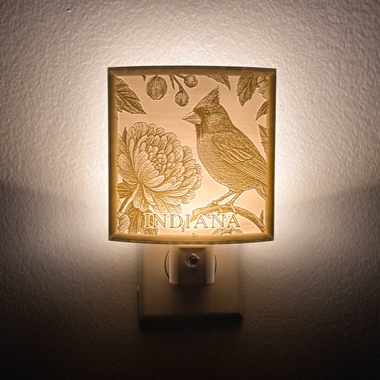 Indiana - Nightlight On