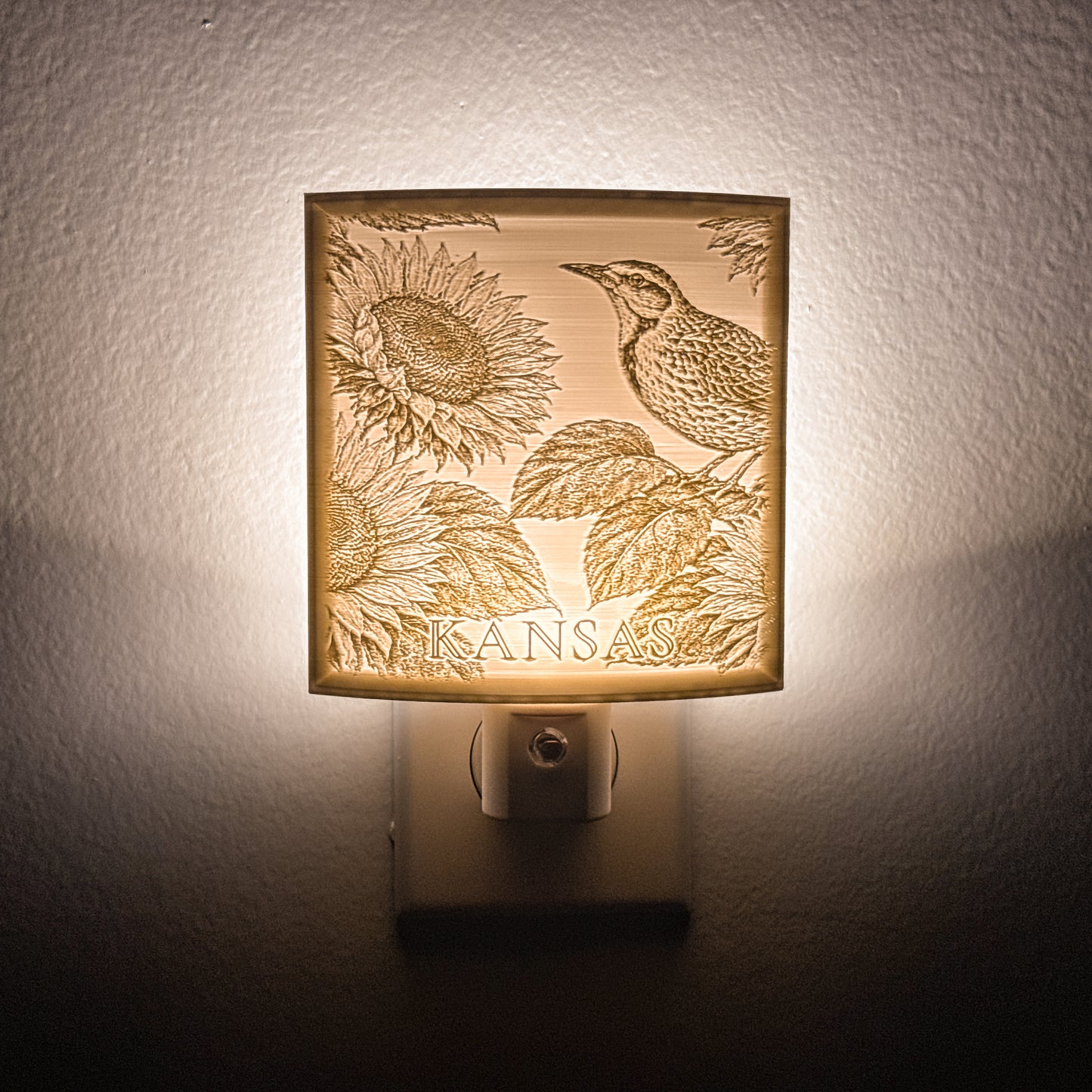 Kansas - Nightlight On