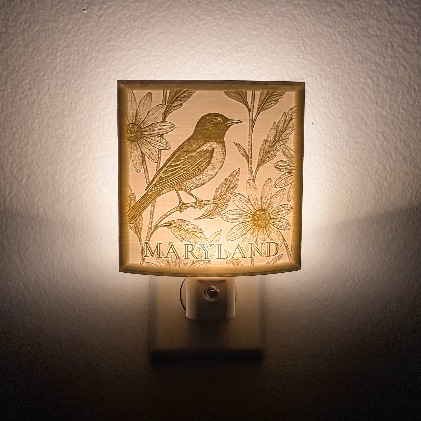 Maryland - Nightlight On