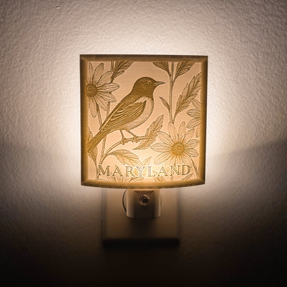Maryland - Nightlight On