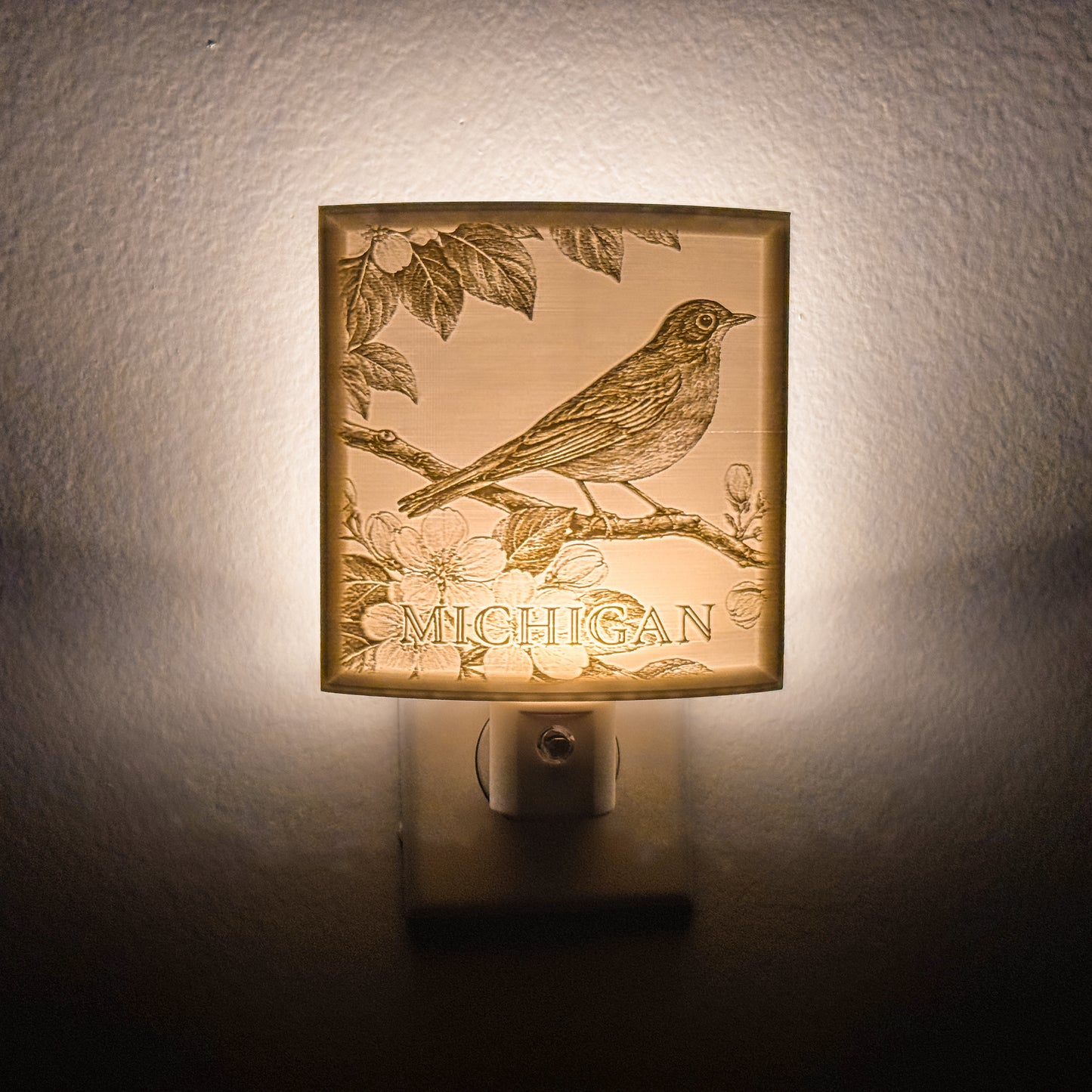 Michigan - Nightlight On
