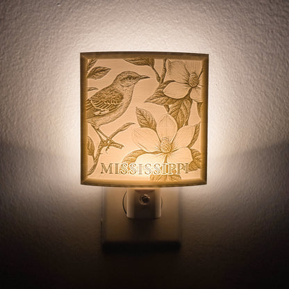 Mississippi - Nightlight On