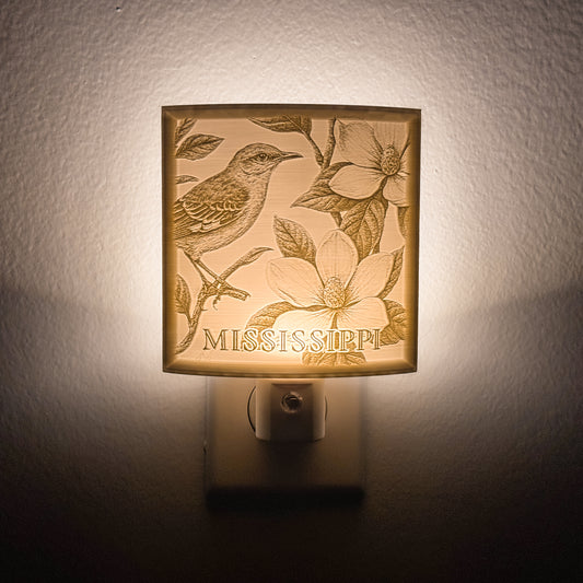 Mississippi - Nightlight On
