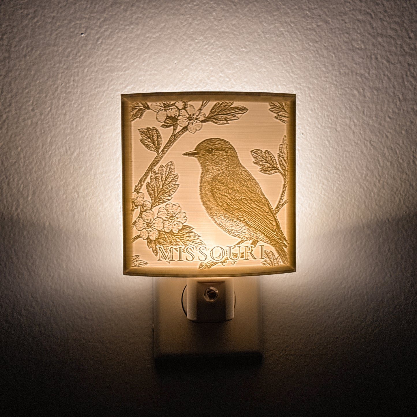 Missouri - Nightlight On