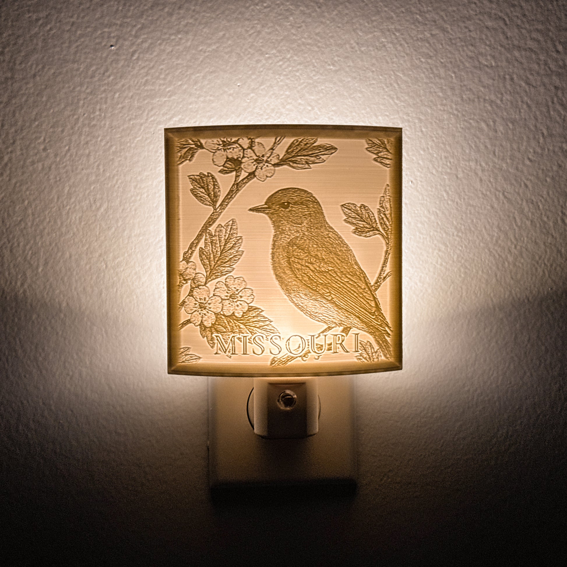 Missouri - Nightlight On