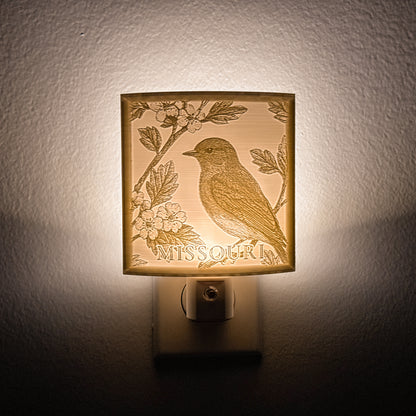 Missouri - Nightlight On