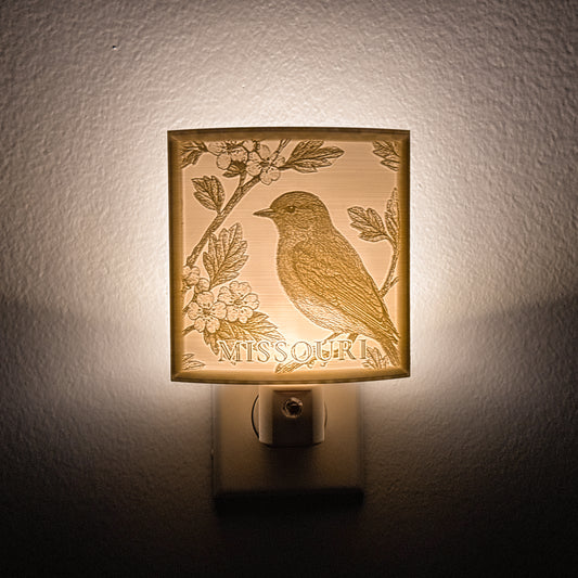 Missouri - Nightlight On