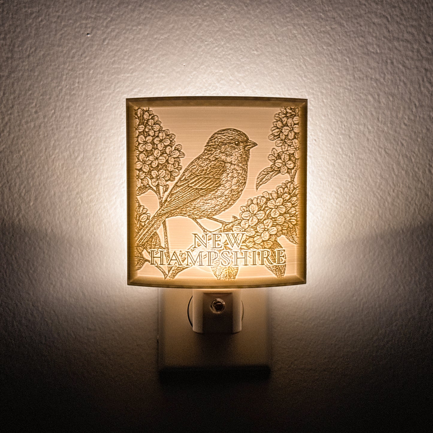 New Hampshire - Nightlight On