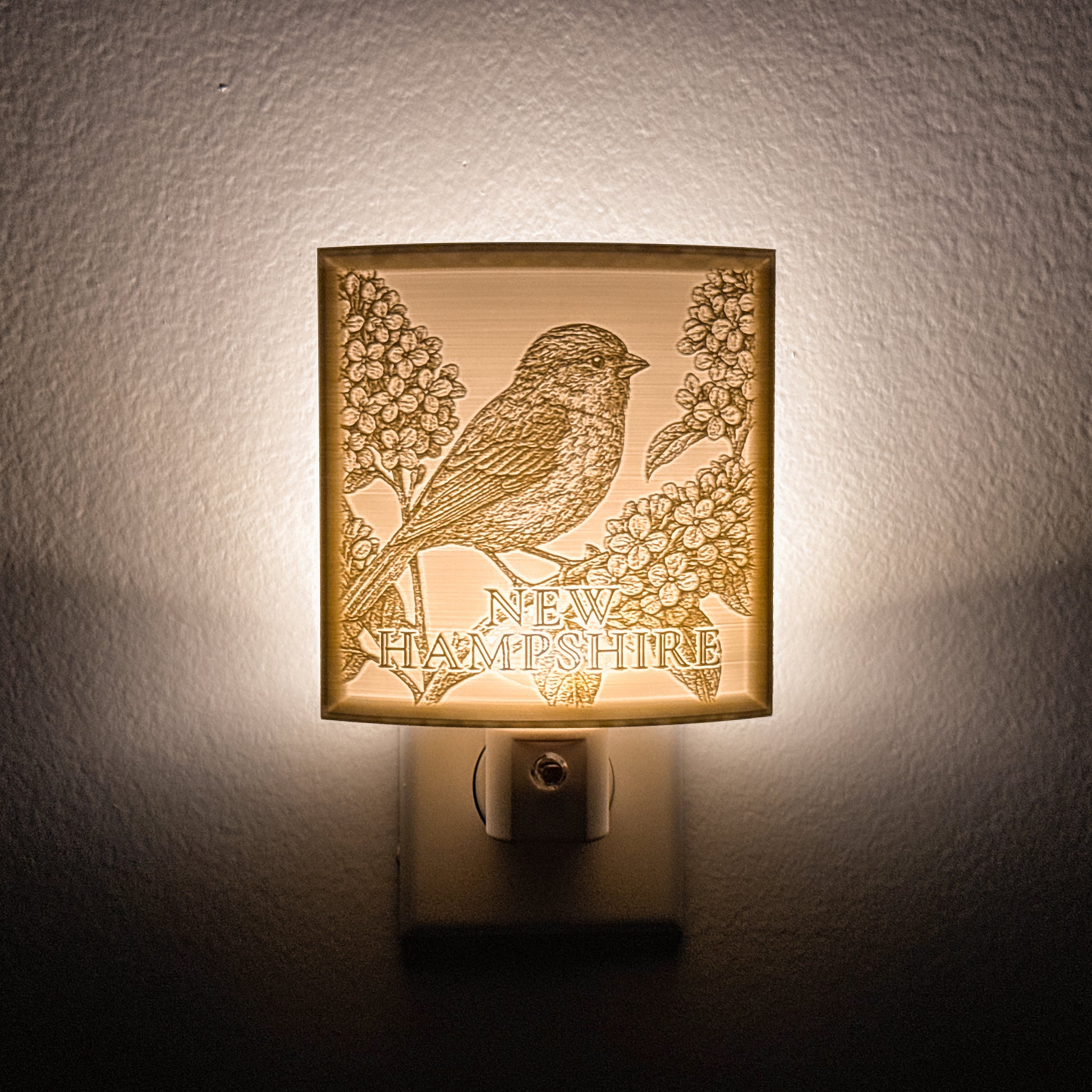 New Hampshire - Nightlight On