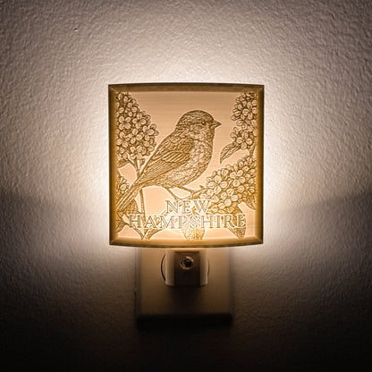 New Hampshire - Nightlight On
