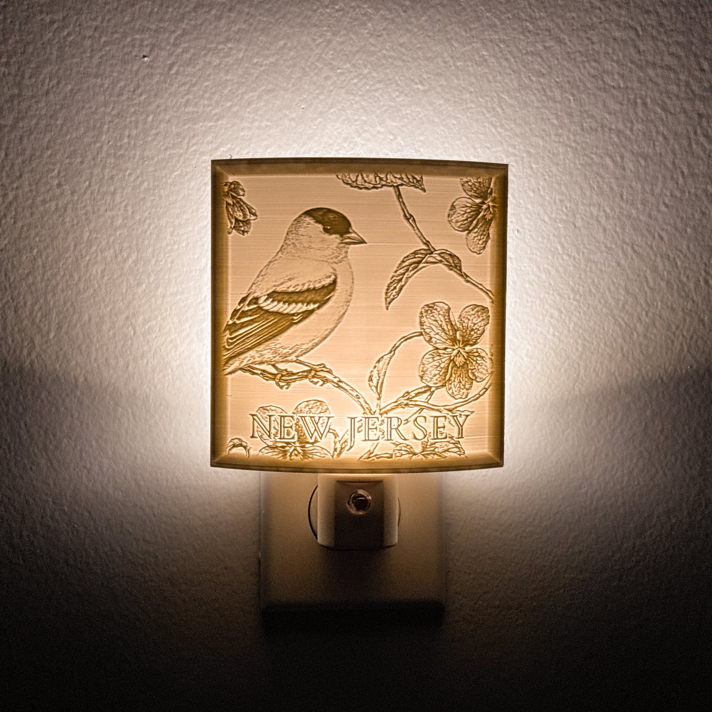 New Jersey - Nightlight On