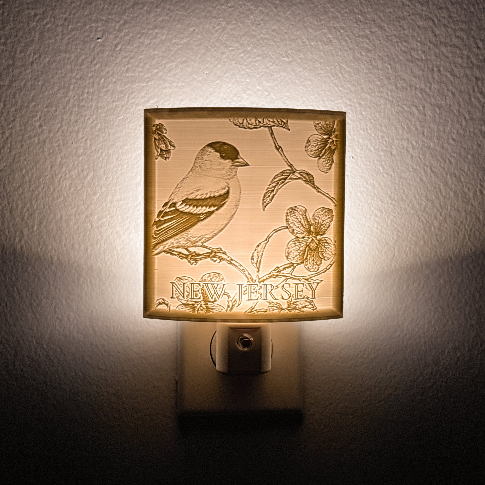 New Jersey - Nightlight On