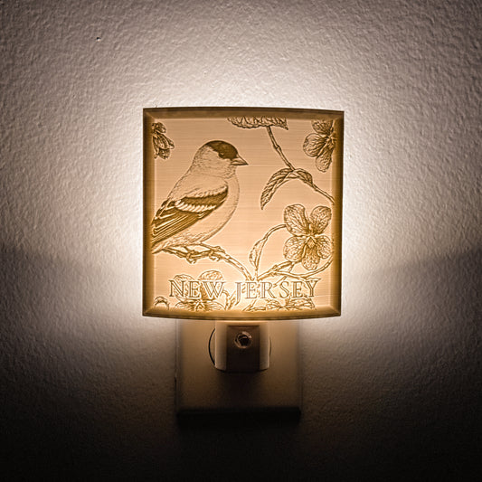 New Jersey - Nightlight On