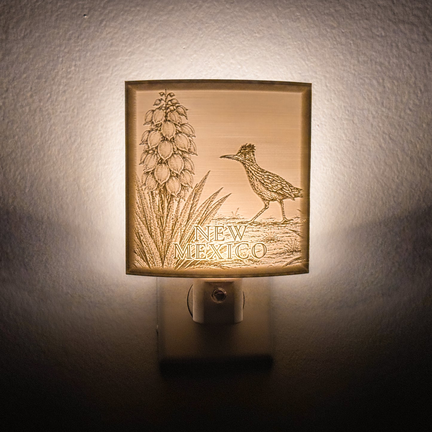 New Mexico - Nightlight On