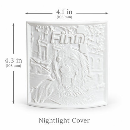 Personalized Photo Nightlight