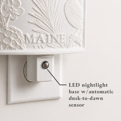 Florida State Bird & Flower Nightlight
