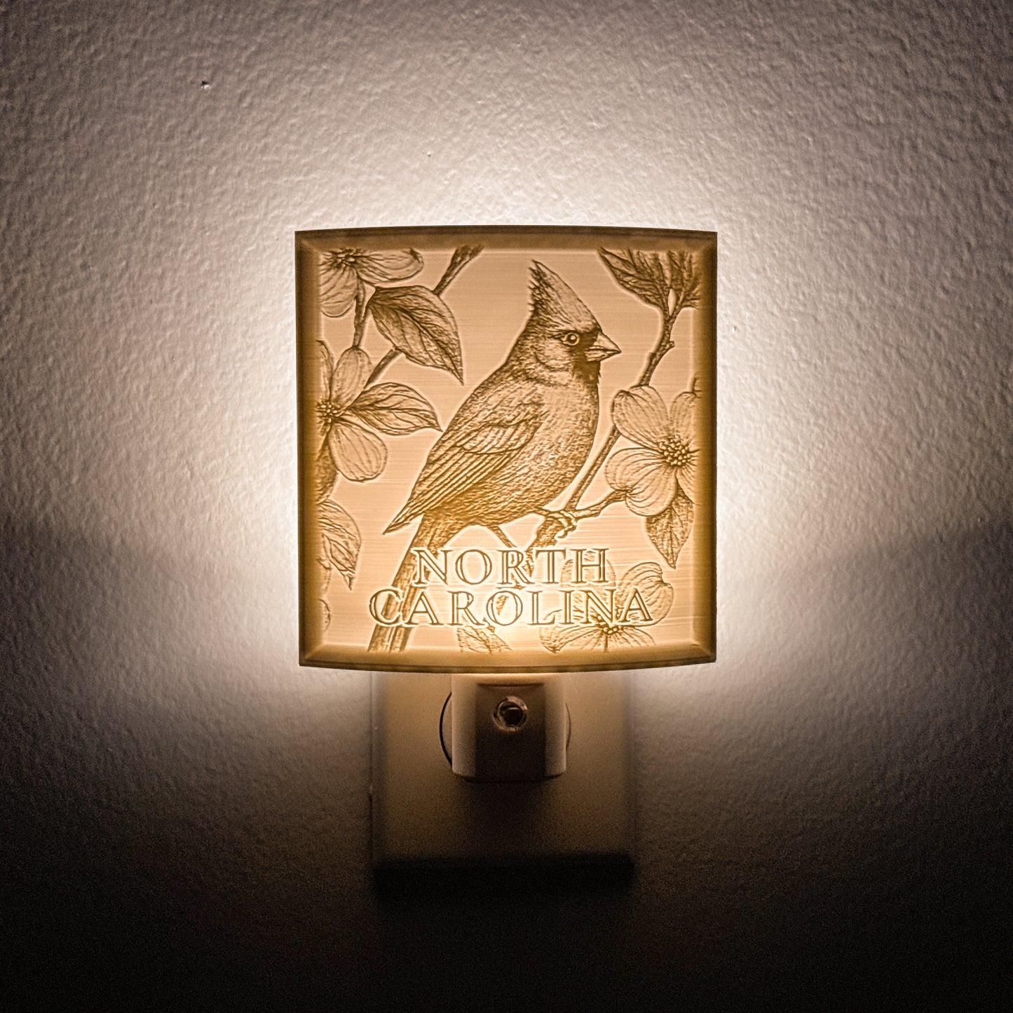 North Carolina - Nightlight On