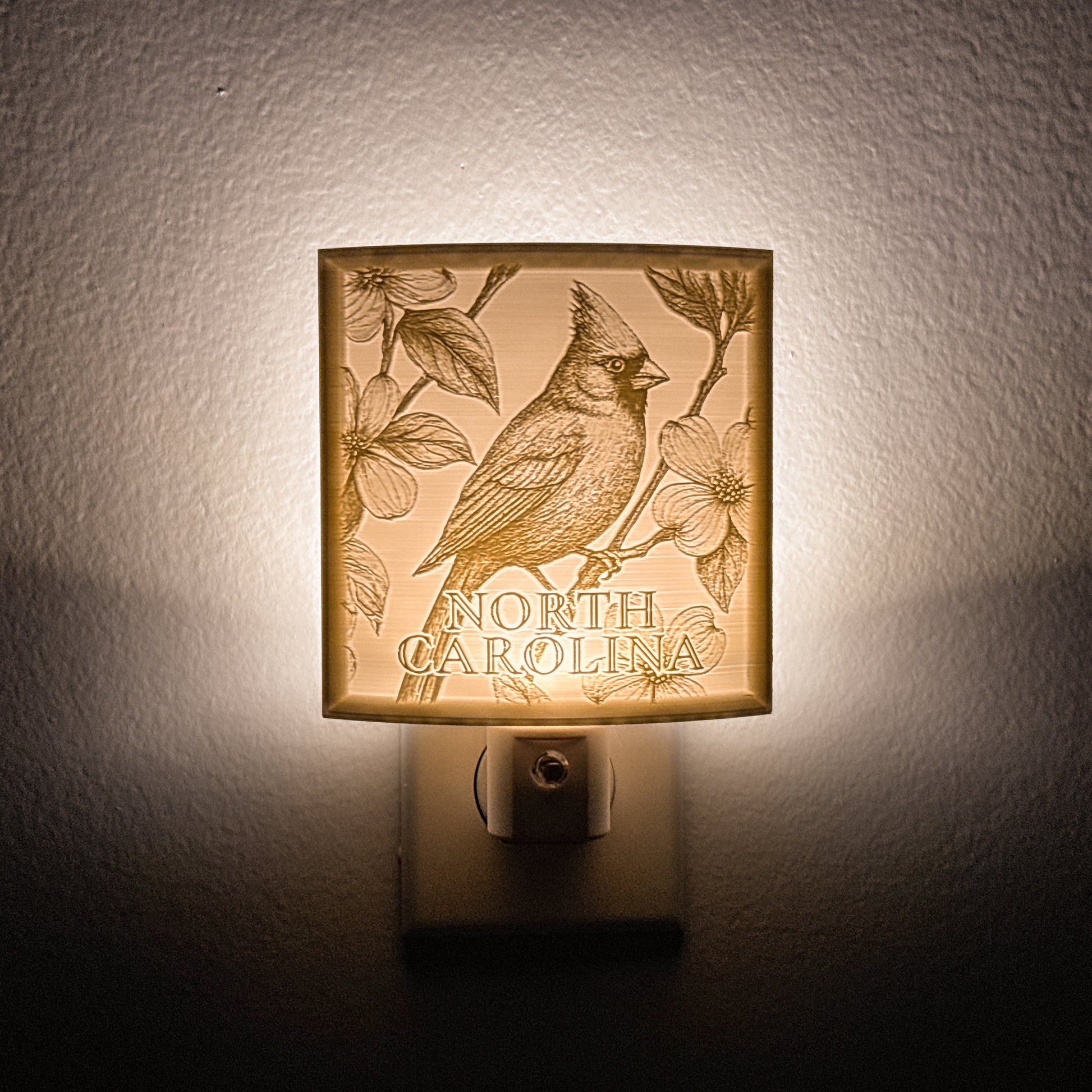 North Carolina - Nightlight On