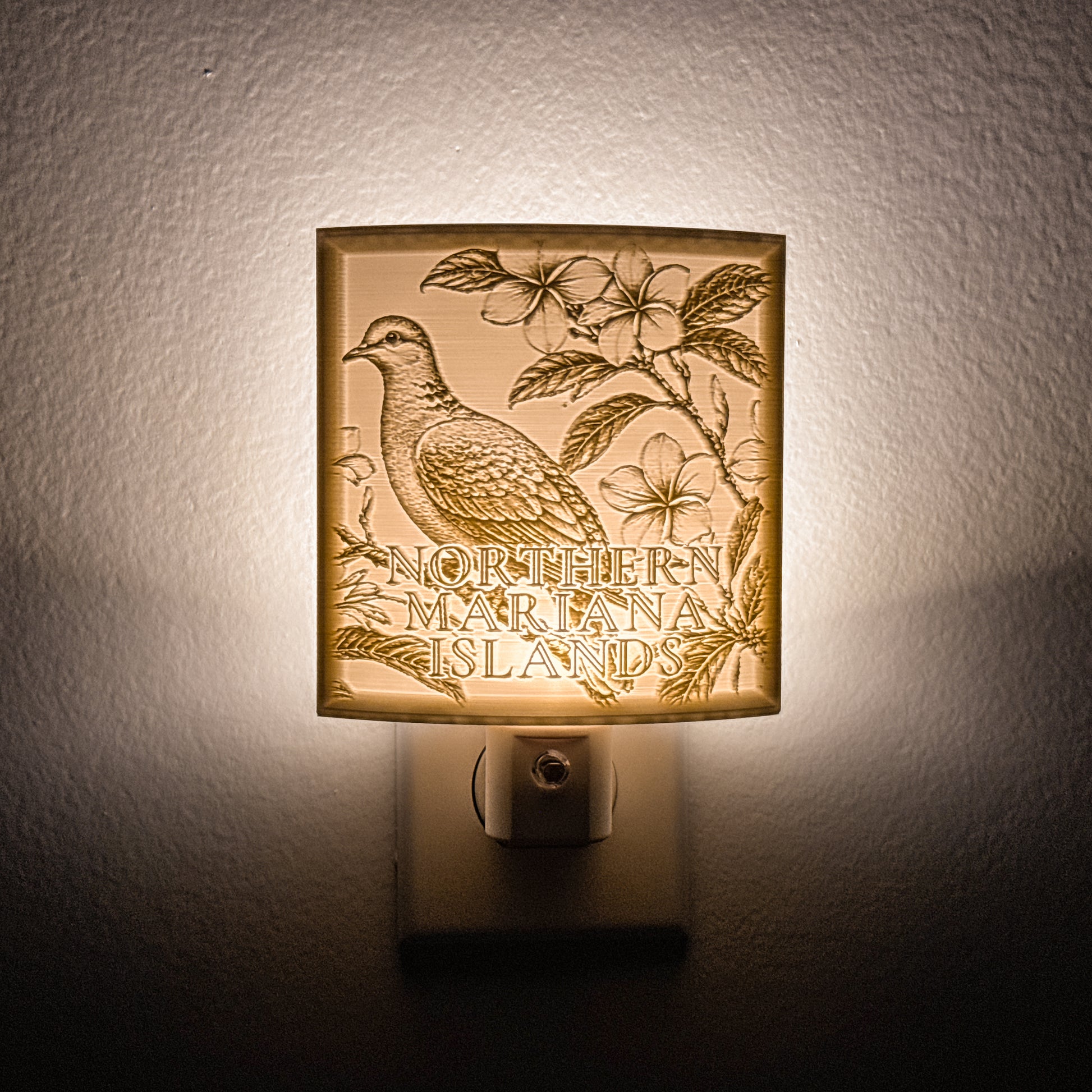 Northern Mariana Islands - Nightlight On