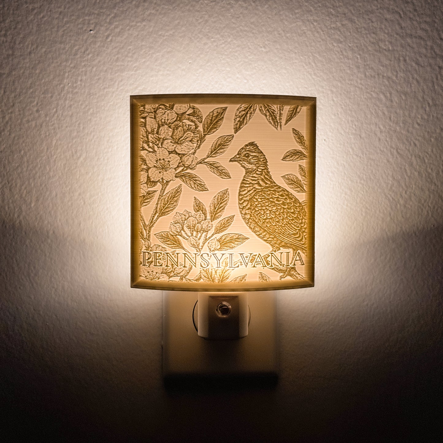 Pennsylvania - Nightlight On