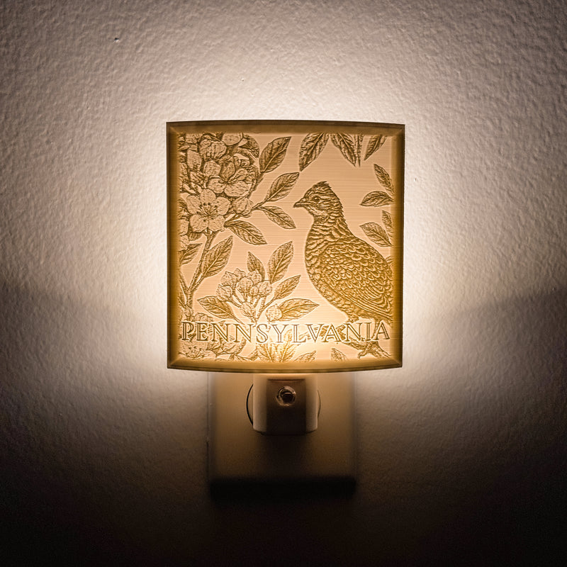 Pennsylvania State Bird & Flower Nightlight