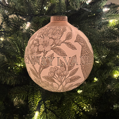 Fifty States Ornaments | The Complete Collection