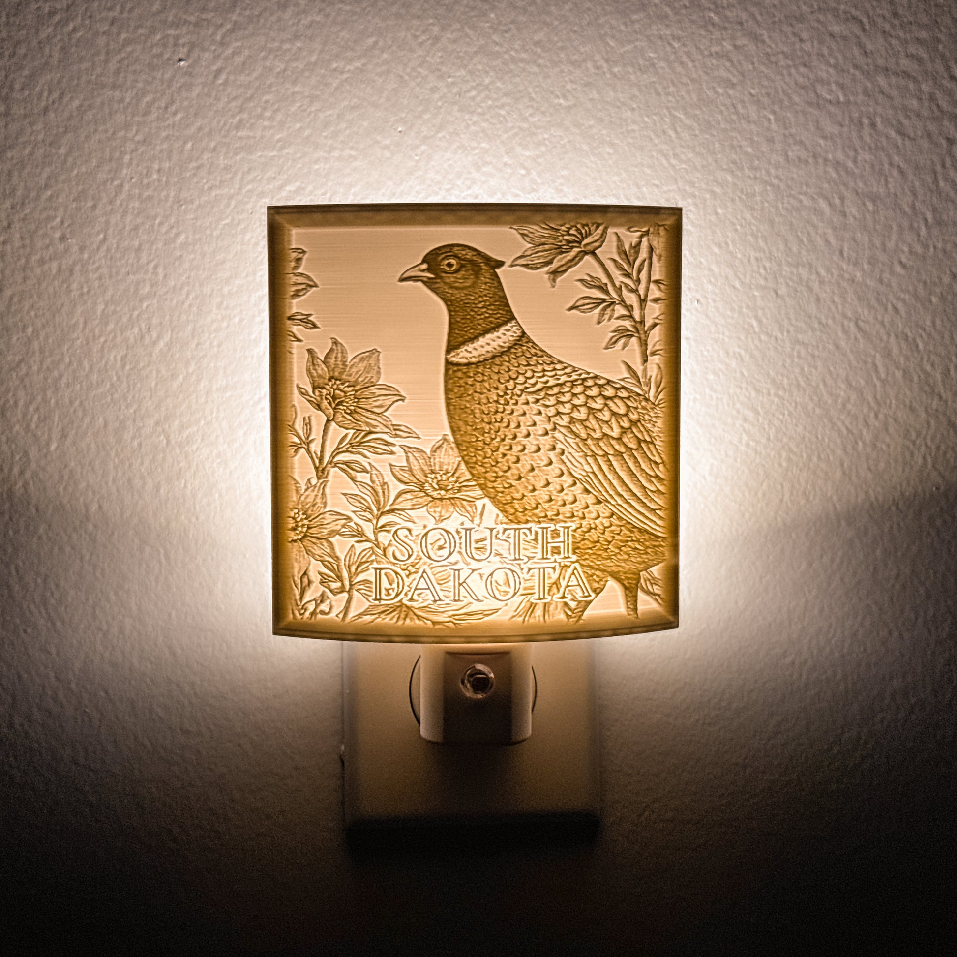 South Dakota - Nightlight On