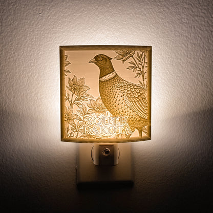 South Dakota - Nightlight On