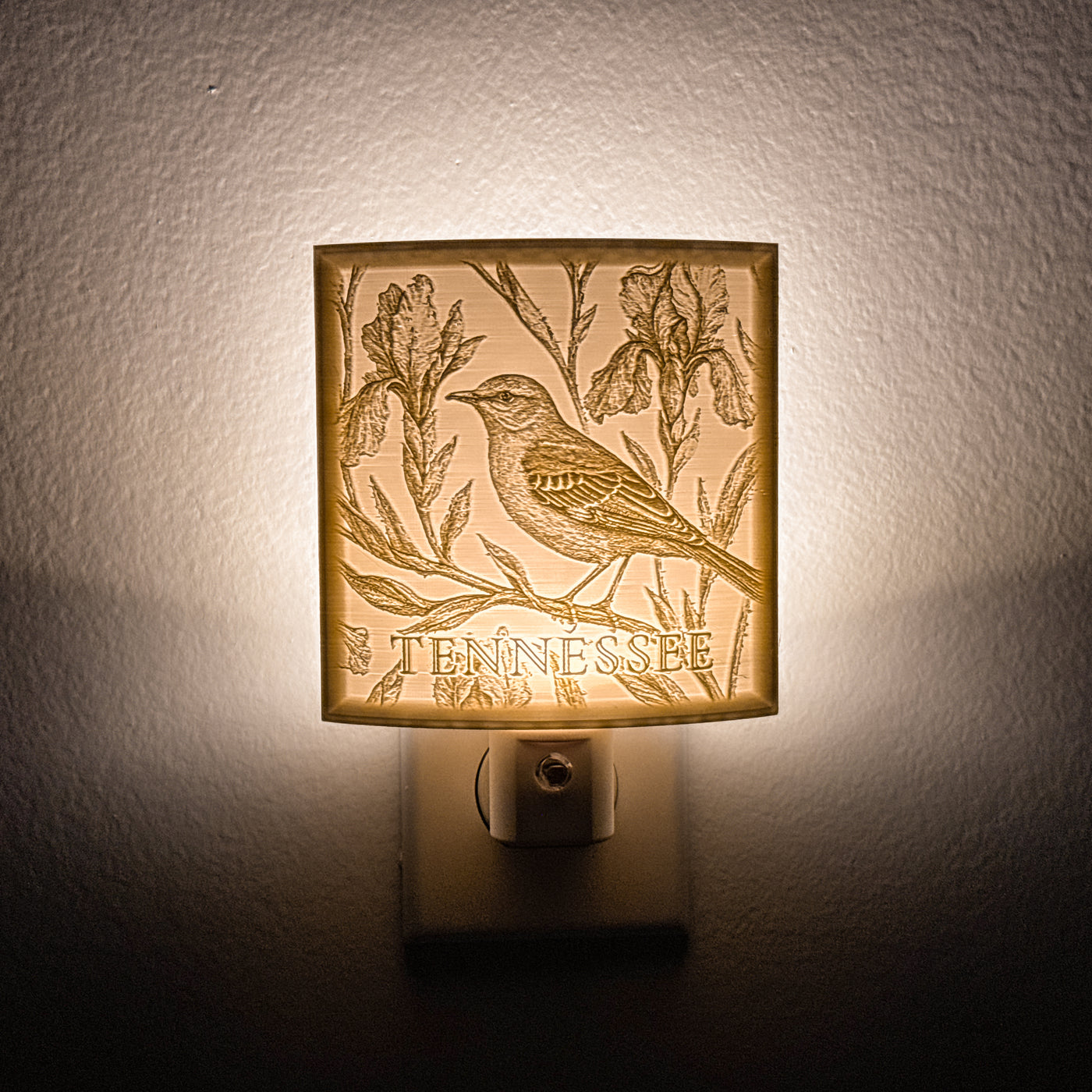 Tennessee State Bird & Flower Nightlight