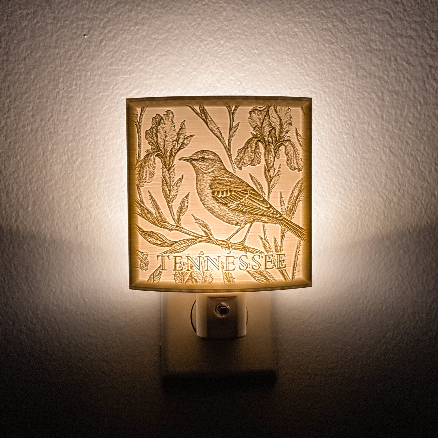 Tennessee - Nightlight On