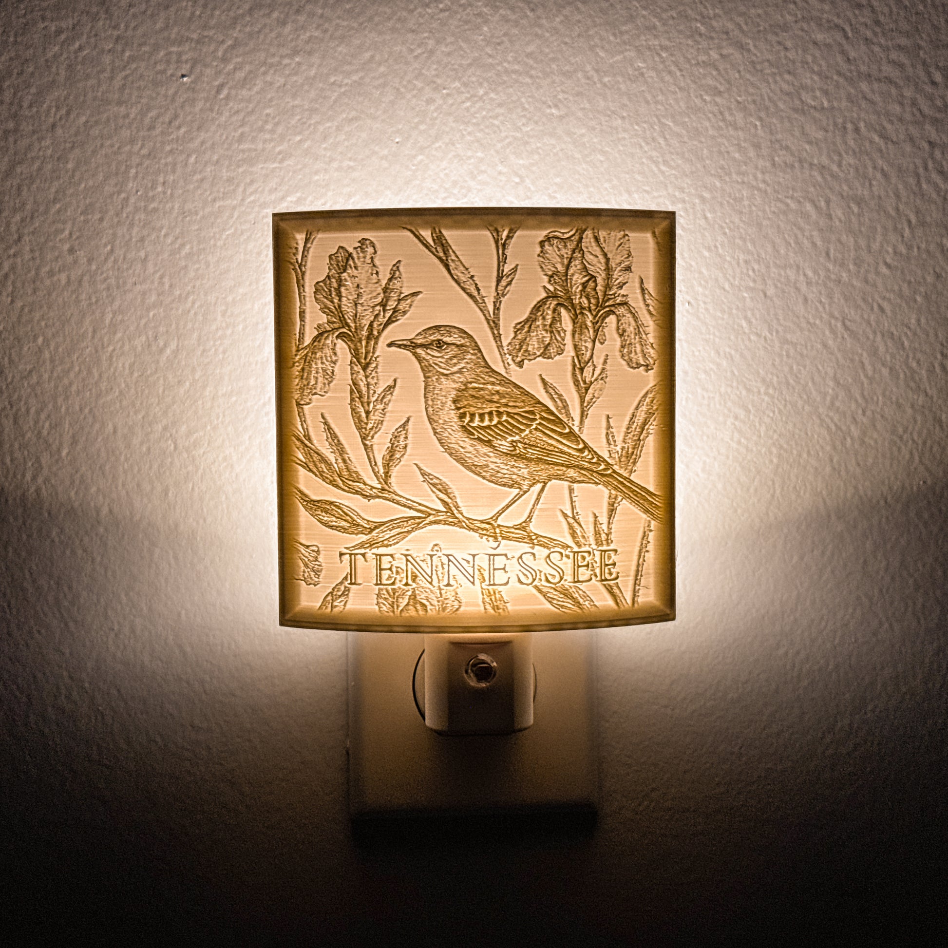 Tennessee - Nightlight On