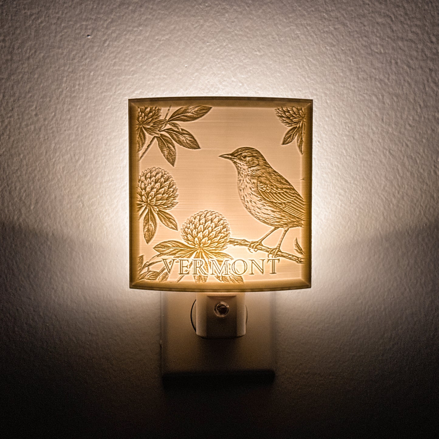 Vermont - Nightlight On